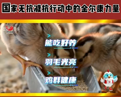 51-�����̿Ǽ���3-1.png