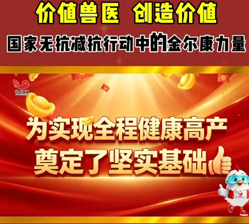 51-�����̿Ǽ���4.png