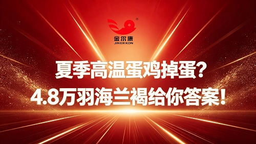 03�����ָ����.jpg
