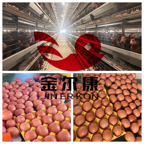 07_����.jpg