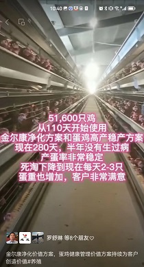 51600ֻ��280����������ȶ�����2-3ֻ