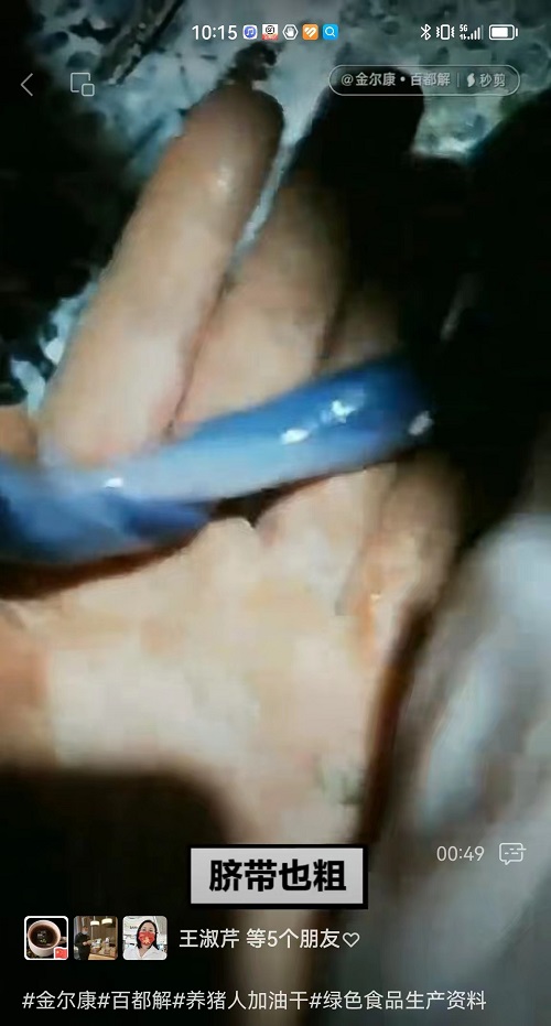 21-ĸ������-2.jpg