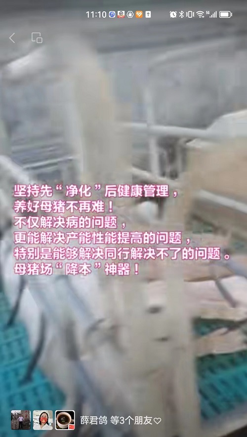 11-母猪不再难养.jpg